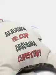Коричневый игрушка в авто на присосках Штучки, к которым тянутся ручки Кот Автозащитник