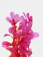 Лавандовый декорации для аквариума, искусственное декоративное растение, 30 типов