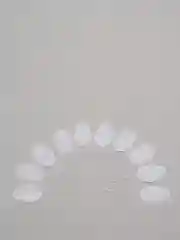 Белый листья декоративные на веточке