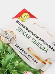 Мезембриантемум "Яркая звезда", семена