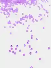 Лавандовый бисер чешский Preciosa, Чехия, № 10, Natural Opaque