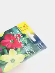 Табак Дивный аромат (цветы, семена)