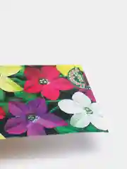 Табак Дивный аромат (цветы, семена)
