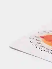 Оранжевый календарь прорезывания зубов