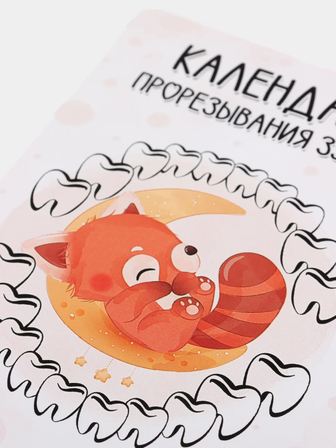 Оранжевый календарь прорезывания зубов