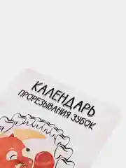Оранжевый календарь прорезывания зубов