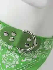 Зеленый ошейник бандана для собак и кошек