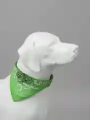 Зеленый ошейник бандана для собак и кошек