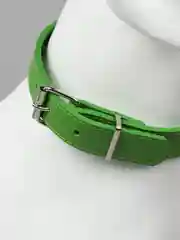 Зеленый ошейник бандана для собак и кошек