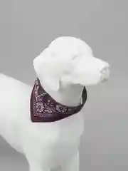Фиолетовый ошейник бандана для собак и кошек