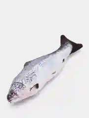 Серебряный игрушка для кошки с валерианой и кошачьей мятой в форме рыбы