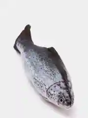 Серебряный игрушка для кошки с валерианой и кошачьей мятой в форме рыбы