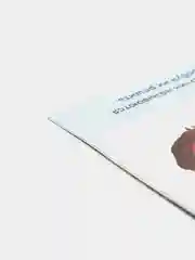 Книга с заданиями. IQ-блокнот. Развивающие задания. 3+. 20 стр