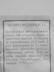 Семена Огурец "Родничок F1", 4 упаковки