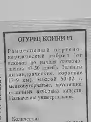 Огурец "Конни F1", семена, 4упаковки