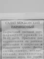 Салат Московский парниковый листовой, семена 4 упаковки