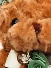 Карамельный детская сумочка "Плюшевый медвежонок"