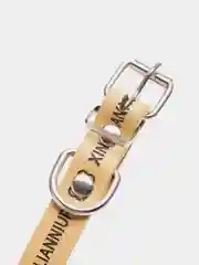 Золотистый хаки ошейник для маленьких собак, кожзам, 25-34