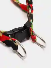 Лайм шлейка с поводком для кошек и собак мелких пород