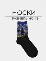 Хром носки "Произведения искусства"