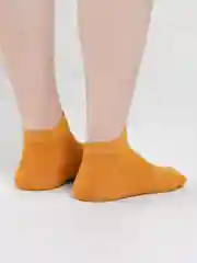 Горчичный женские носки цветные