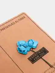 Лазурный открытка с цветами, с разворотом