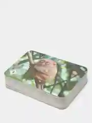 Мемо  Удивительные Животные