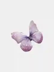 Аметистовый бабочки шифоновые средние