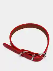 Красный ошейник для маленьких собак, кожзам, 25-34