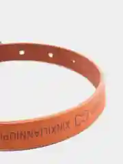 Коричневый ошейник для маленьких собак, кожзам, 25-34