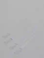 Типсы на кольце, пластиковые
