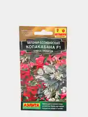 Бегония боливийская "Копакабана F1", смесь окрасок, 5 штук