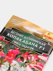 Бегония боливийская "Копакабана F1", смесь окрасок, 5 штук