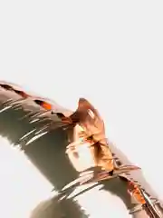Шар цифра "3", красное золото, 40/102 см, 1 штука