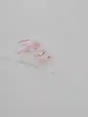 Мешки кондитерские, одноразовые