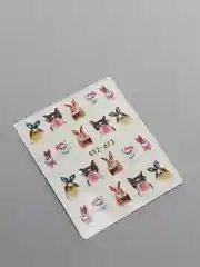 Коралловый меланж слайдеры для ногтей