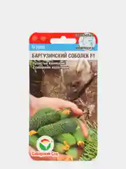 Семена огурцов "Баргузинский соболек F1"