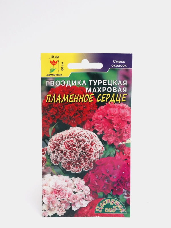 Гвоздика "Пламенное сердце", семена, цветы