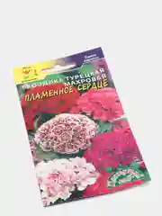 Гвоздика "Пламенное сердце", семена, цветы