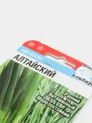 Лук "Алтайский", семена