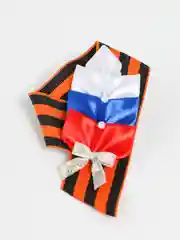 Серебряный брошь георгиевская лента на 9 мая "Триколор"