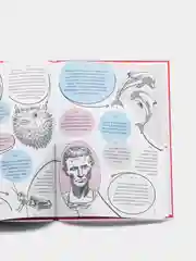 Книга детская энциклопедия. 365 фактов обо всём на свете, 48 стр. Проф-Пресс