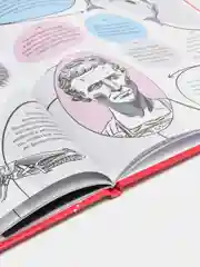 Книга детская энциклопедия. 365 фактов обо всём на свете, 48 стр. Проф-Пресс
