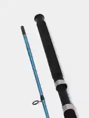Спиннинг штекерный PLUG SPIN, 10-30 г