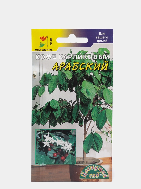 Кофе "Арабский", семена