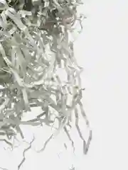 Угольный бумажная стружка - наполнитель для коробок