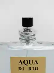 Туалетная вода для мужчин "AQUA DI RIO", 90 мл