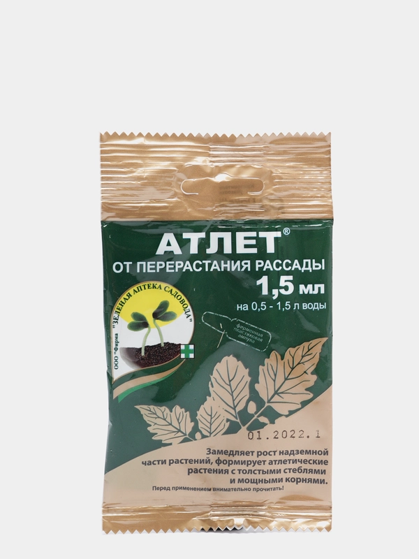 Атлет, от перерастания рассады