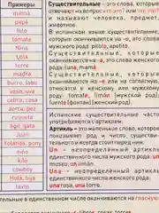 Испанский алфавит, справочные материалы, 15 х 21 см