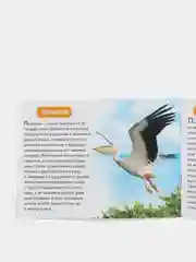Фиолетовый книжка для детей "Узнаём про всё вокруг"